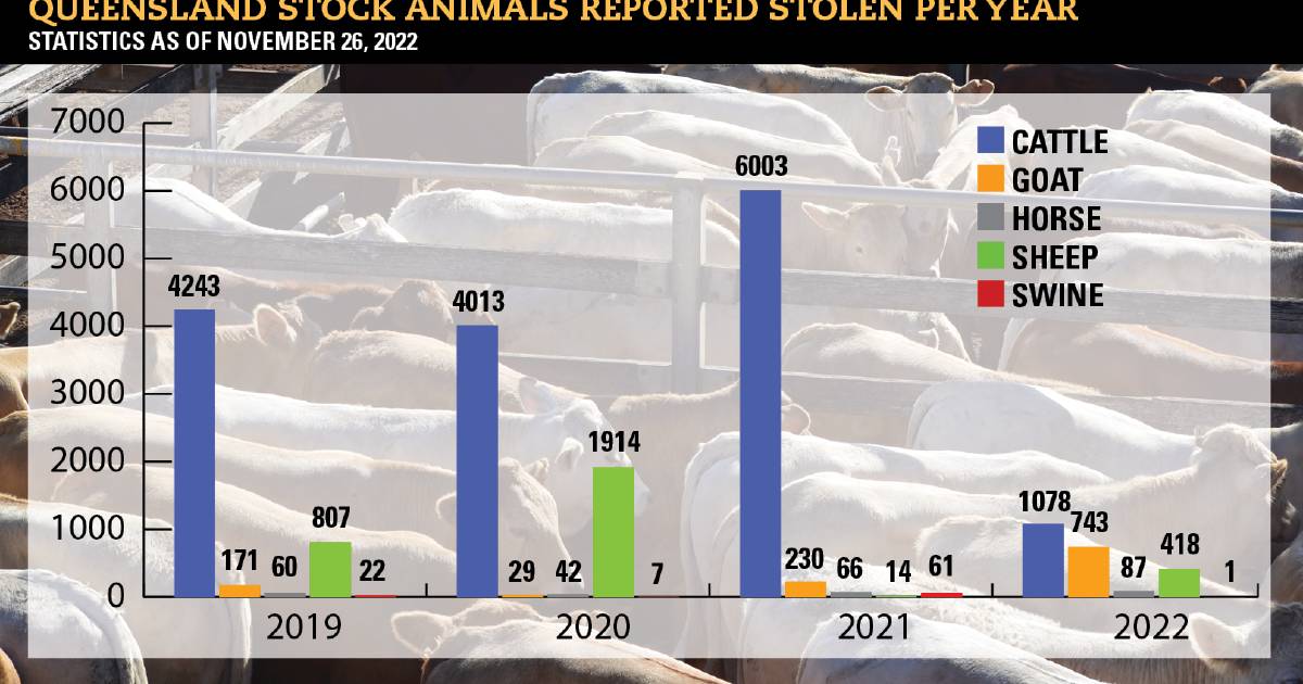 Stock theft numbers decline this year thanks to improved reporting | Queensland Country Life
