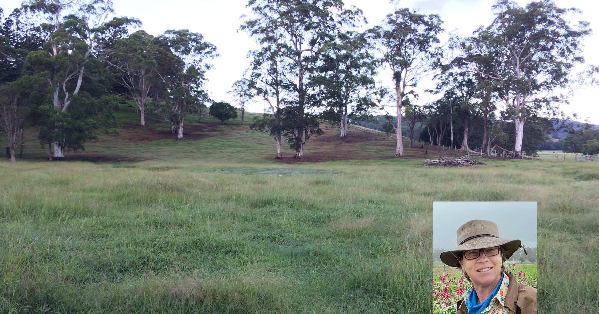 Mysterious pasture die-back creeps south as researchers scratch their heads