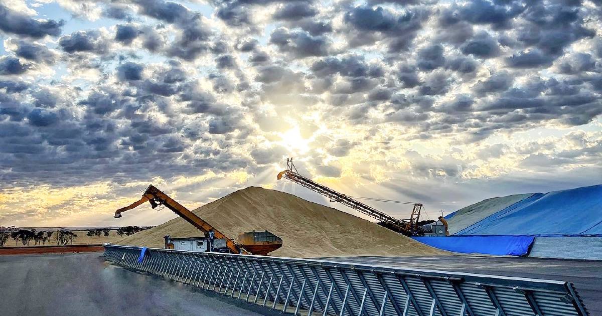 Bins are filling fast for bumper harvest