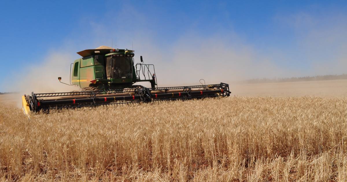 The 2022 harvest proves more challenging and stressful than the last | The Land