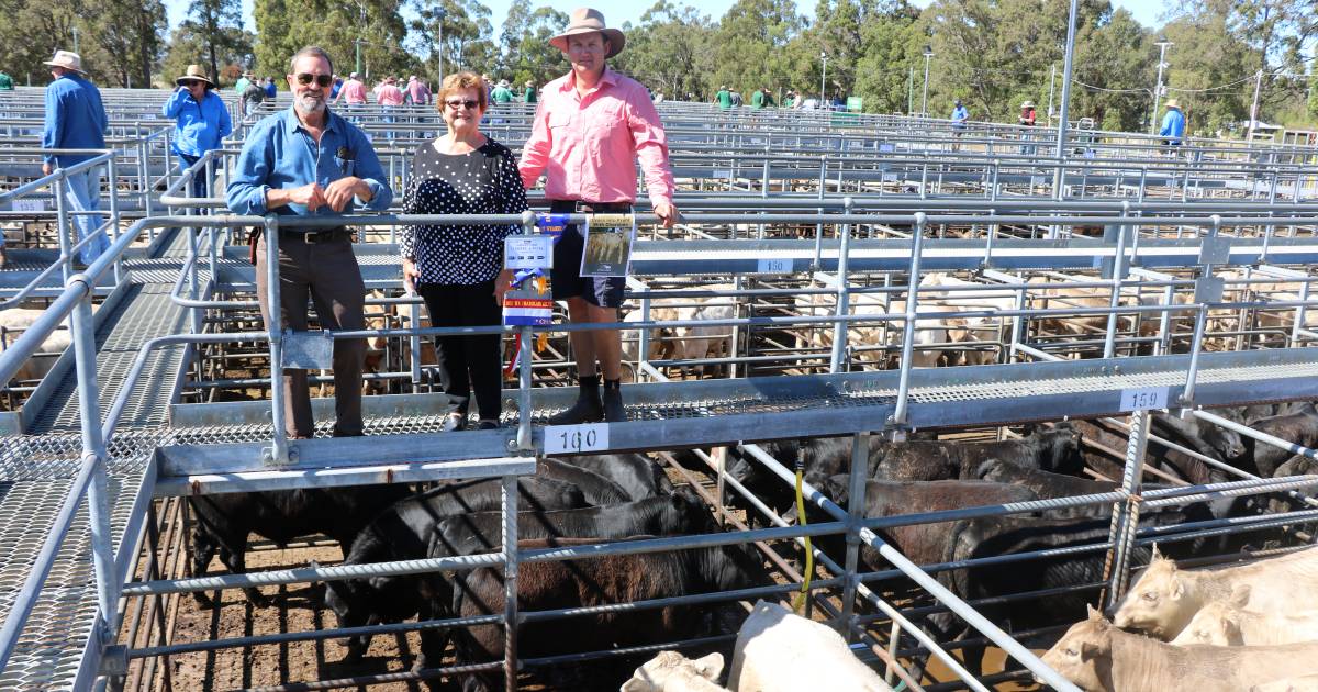 Charolais breeder comp part of weaner sale