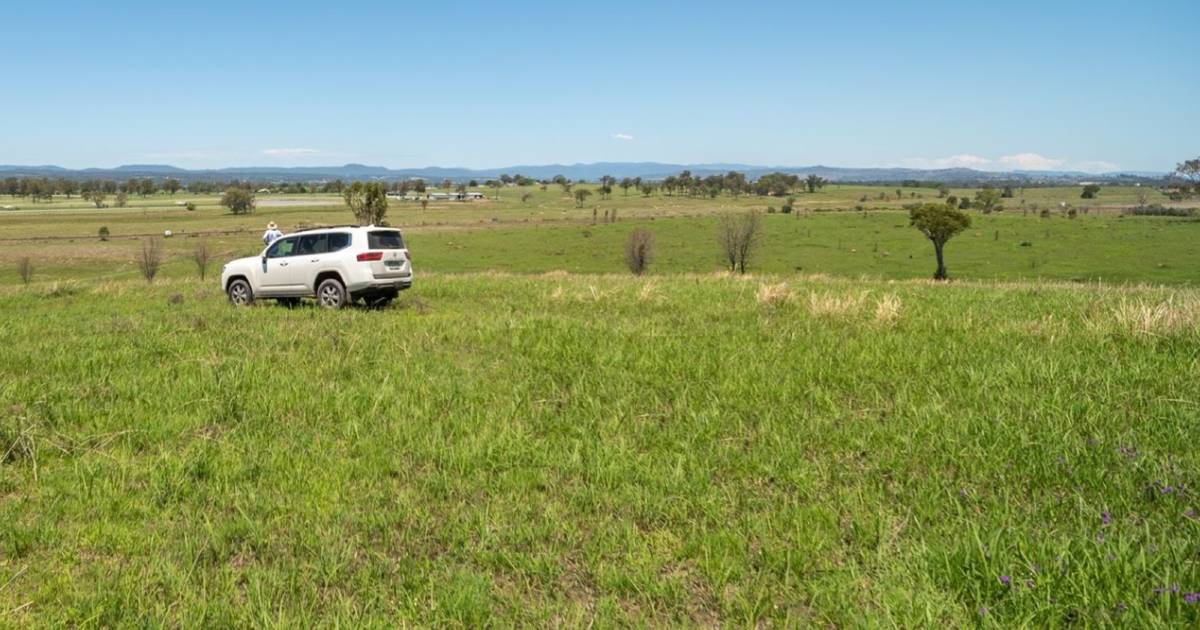 Melton Downs sold before auction