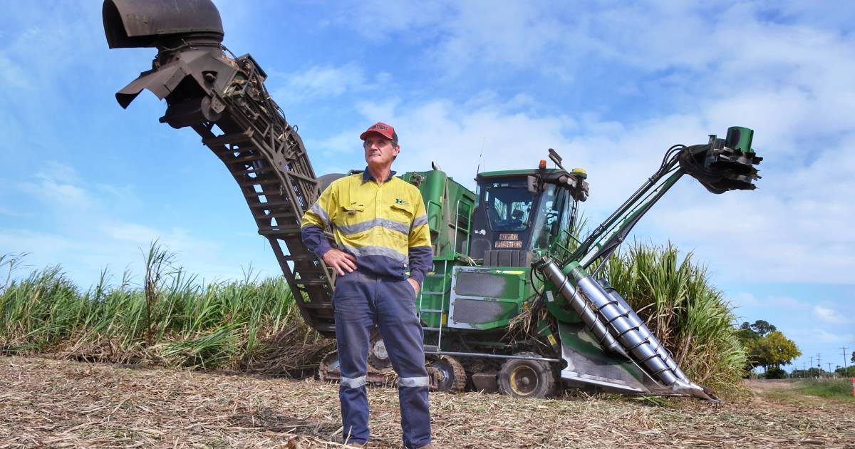 Cane crush runs long after boggy year | Queensland Country Life