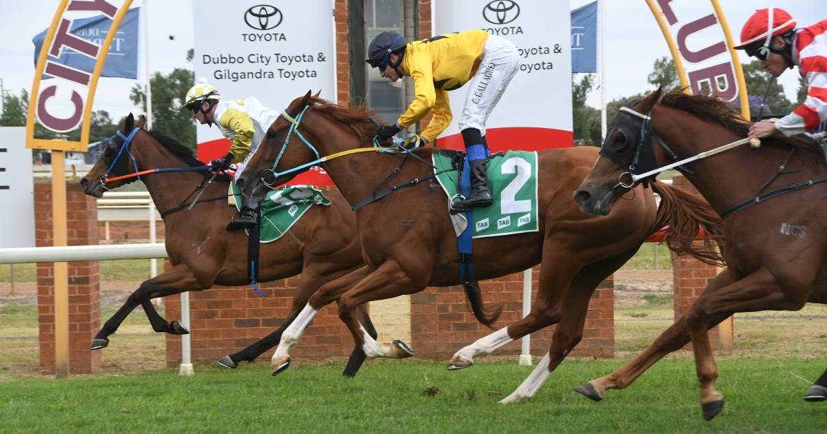 Divine youngsters loom large on the track