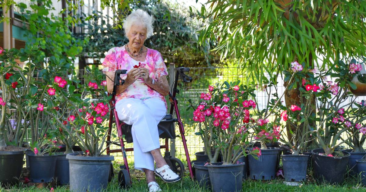 Garden love keeps Bundy 94-year-old springing