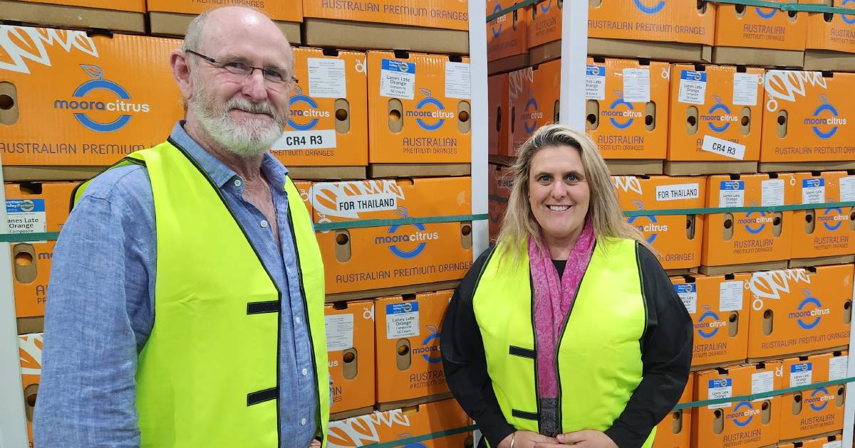 WA citrus bound for Bangkok shelves