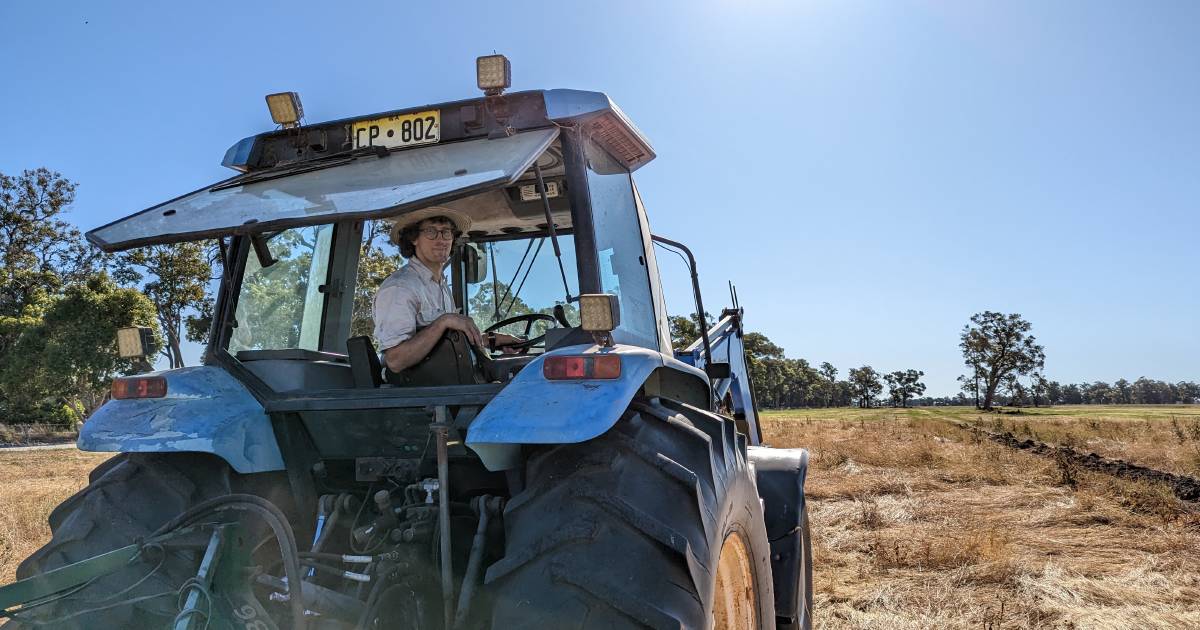 Turning a new leaf on old harvesting practices