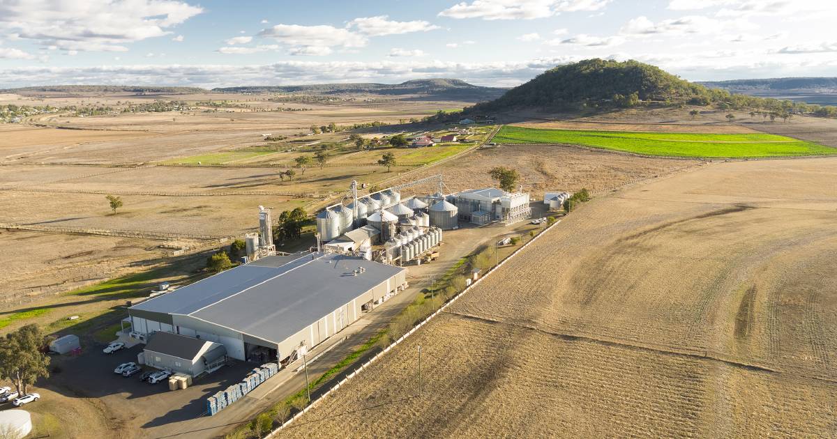 Darling Downs organic company takes top accolade | Queensland Country Life