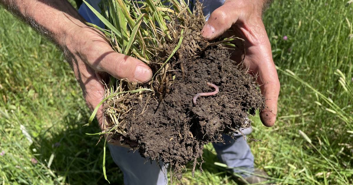 Key findings on nutrient cycling proves soil biology promotes sustainable growth | The Land