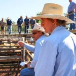 Unity, sense of purpose keys for new Cattle Australia board