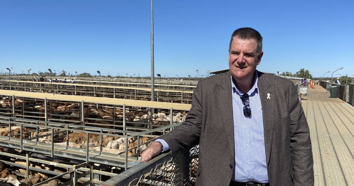 Ag Minister Furner confirms no support for stock reductions to reduce methane | Queensland Country Life