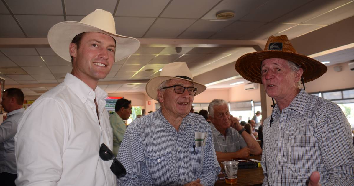 Armidale Cup returns to home turf: fashion, fun and fillies in photos and videos