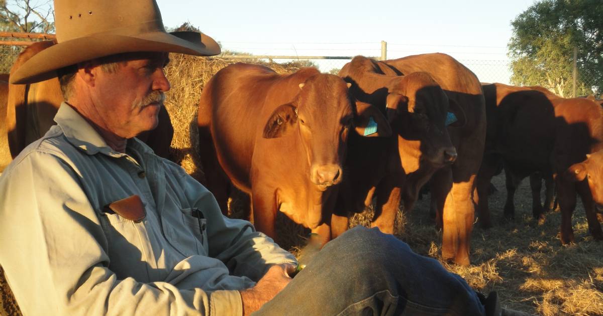 Long-term trial investigates grazing strategies