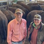 Working towards saleyard solutions