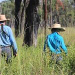 Six people, two of them police officers, dead after siege at Wieambilla | Queensland Country Life