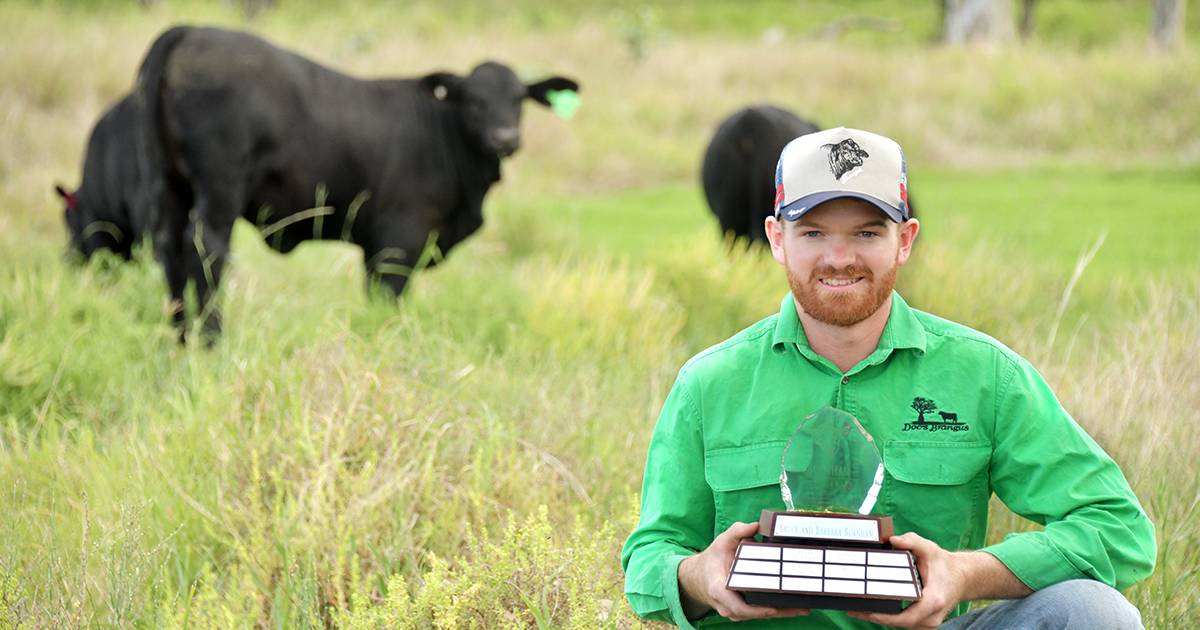 Young Monto cattleman dedicated to Brangus in memory of father | Queensland Country Life