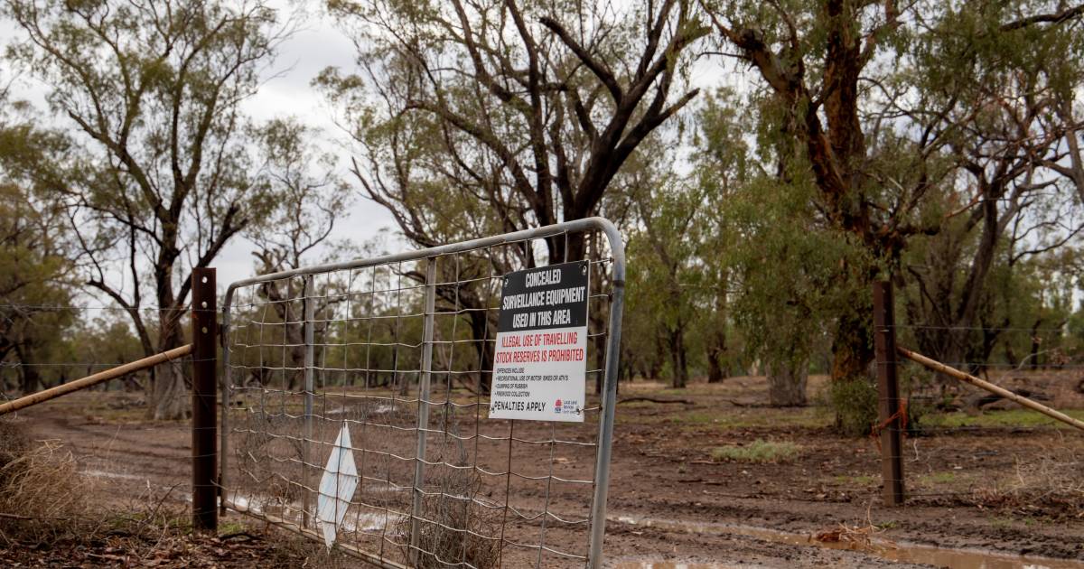 Travelling stock reserves off limits for camping