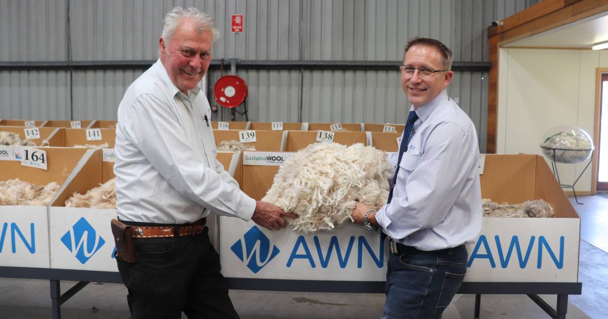 Happy Sheeps markets wool direct to the UK | Farm Weekly