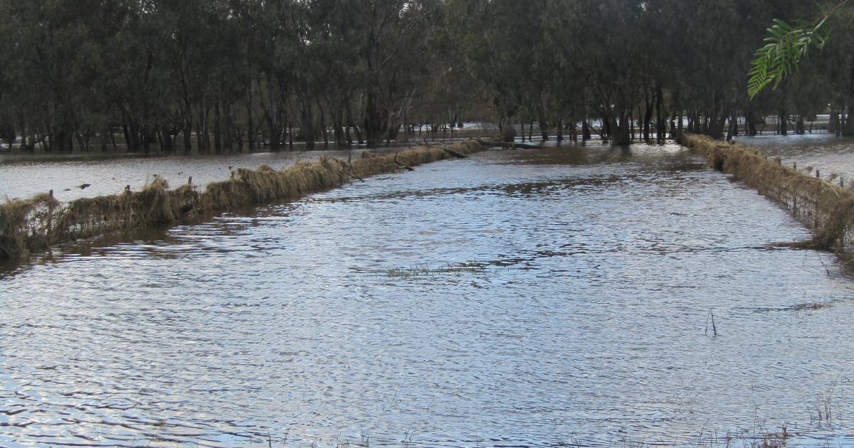 Floods not kidding around