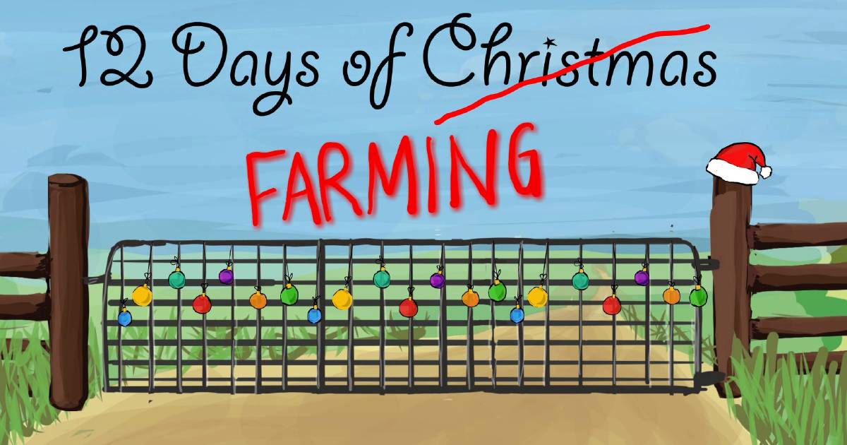 Forget turtle doves – we're celebrating the 12 Days of Farming