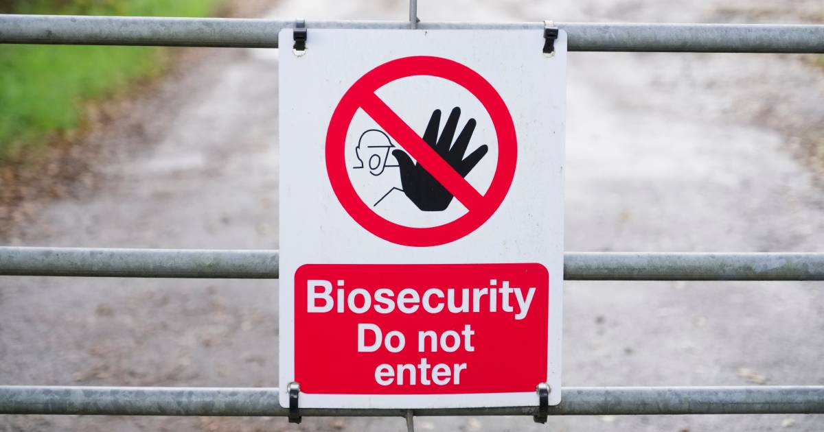 More biosecurity staff hit the ground in Queensland