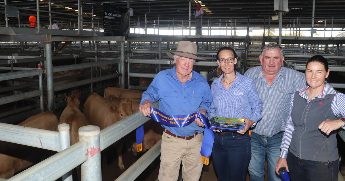 Fifth WA Charolais Society Silver Calf weaner comp a winner | Farm Weekly