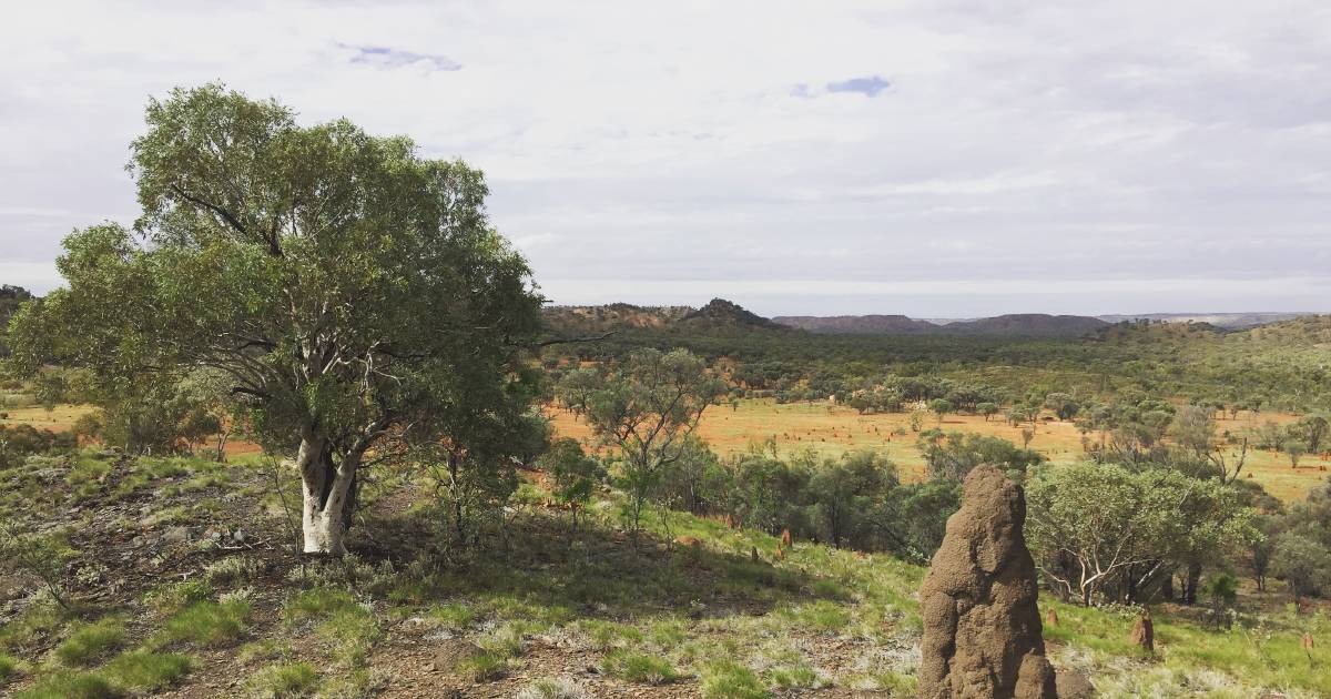 Ten north west Queensland councils endorse Regional Biosecurity Plan | The North West Star