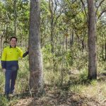 Calls to merge Mount Isa and Cloncurry water assets