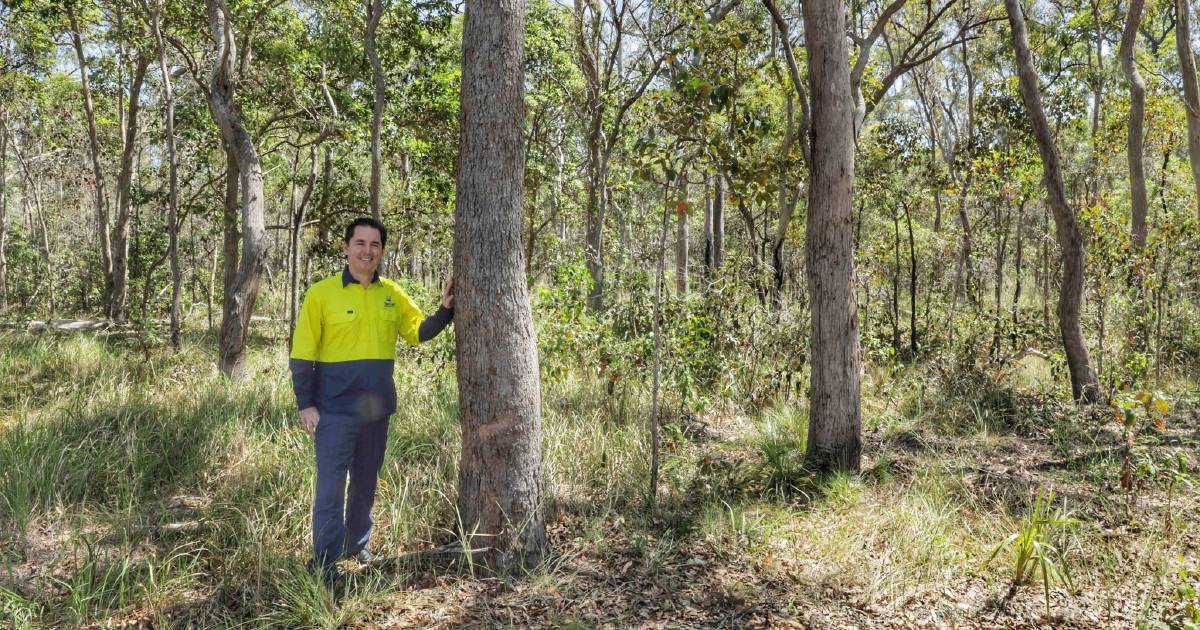 Want to be buried in the bush? This Council has a 'natural cemetery'