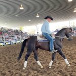 View From the Paddock: Where’s the mainstream coverage of floods? | Queensland Country Life