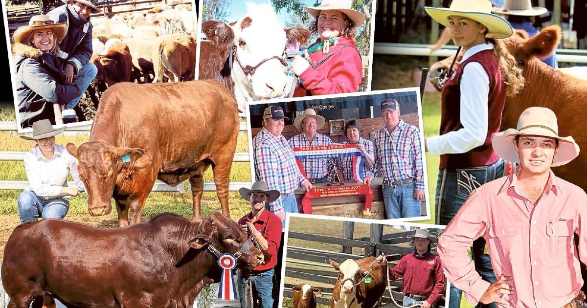 Meet some of the rising stars of Queensland's studstock industry