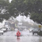 Neighbourly spirit helps save sheep