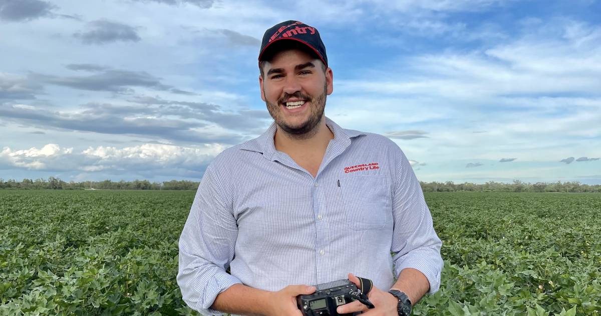 New patch and big year ends for QCL's Emerald journalist Ben Harden