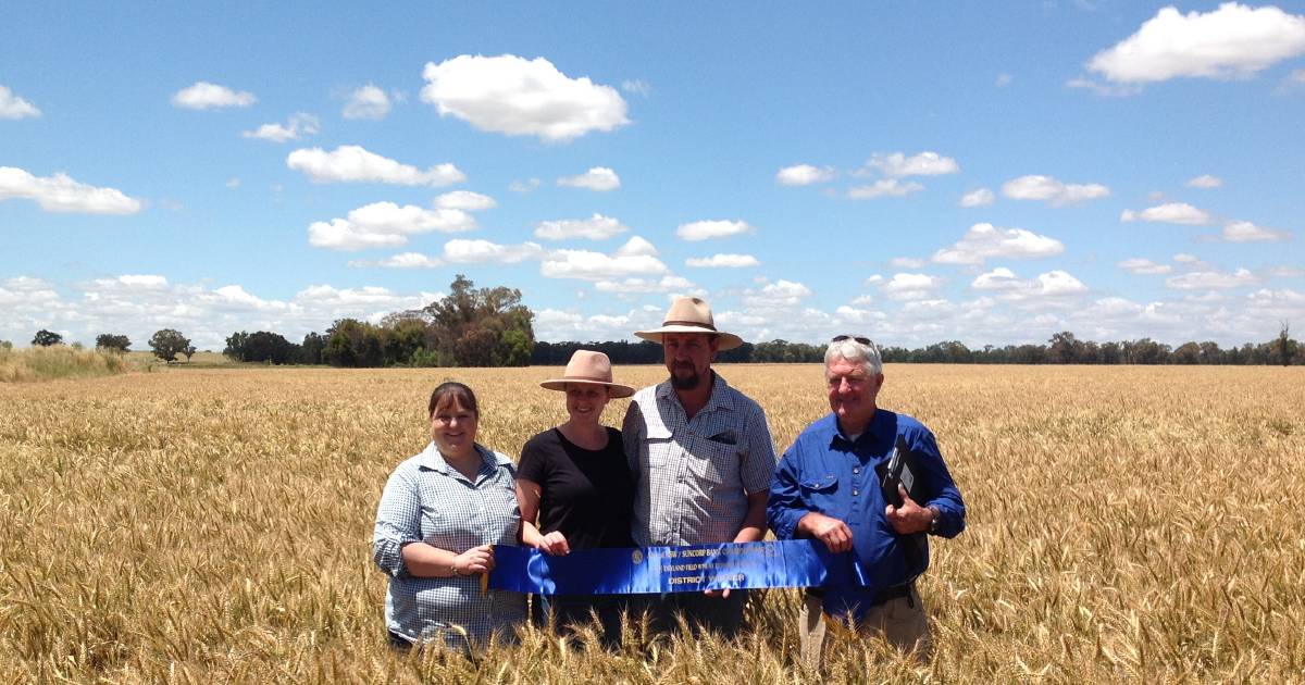 Cool finish for Henty wheat