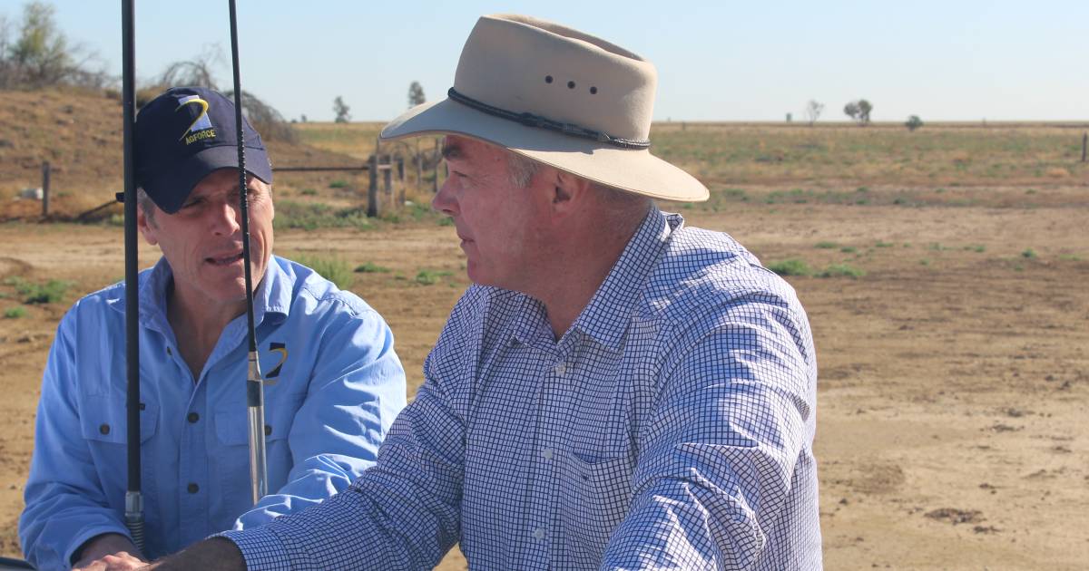 Statewide Landcover and Trees Study elicits a mixed response from stakeholders | Queensland Country Life