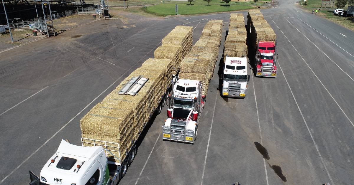 Rural Aid delivering feed to farmers in need