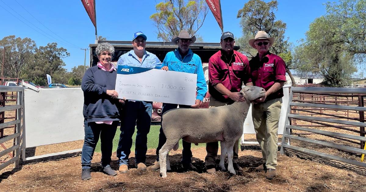 Inaugural Condobolin sale sparks interest for Rene rams