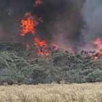 AFAC predicts above-normal WA bushfire risk | Farm Weekly