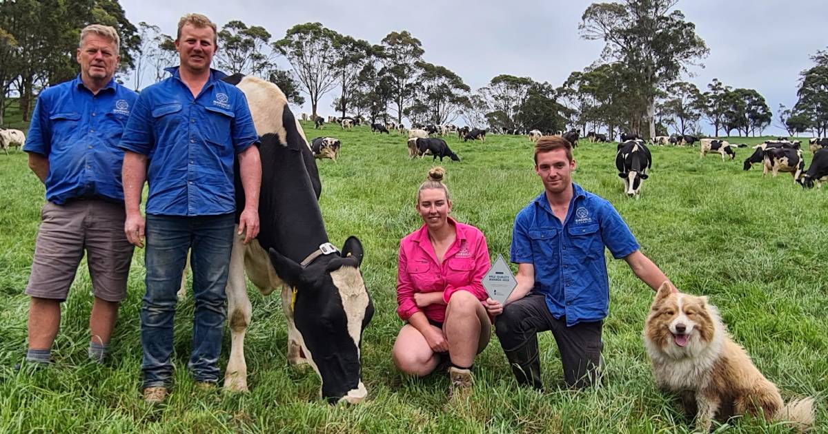 Bega dairy farmer, Tom Pearce, claims Milk Quality Awards silver plaque with low BMCC | The Land