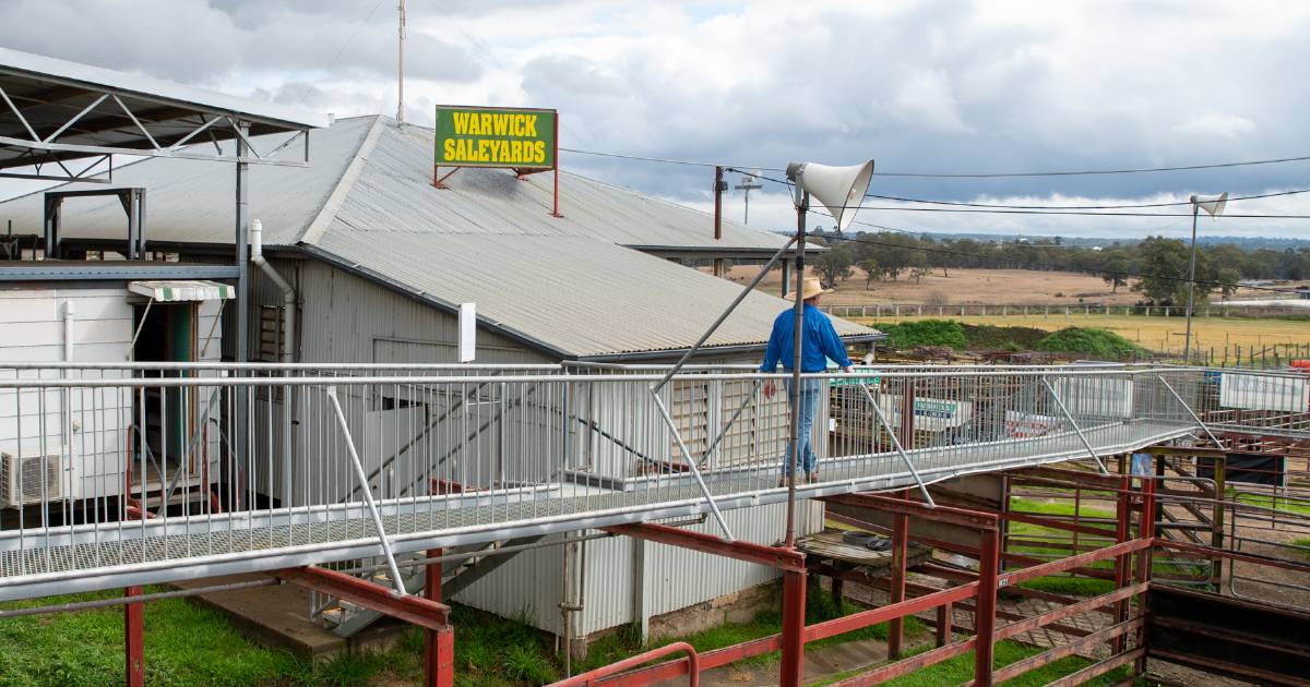 Warwick Saleyards upgrade moves to the next stage