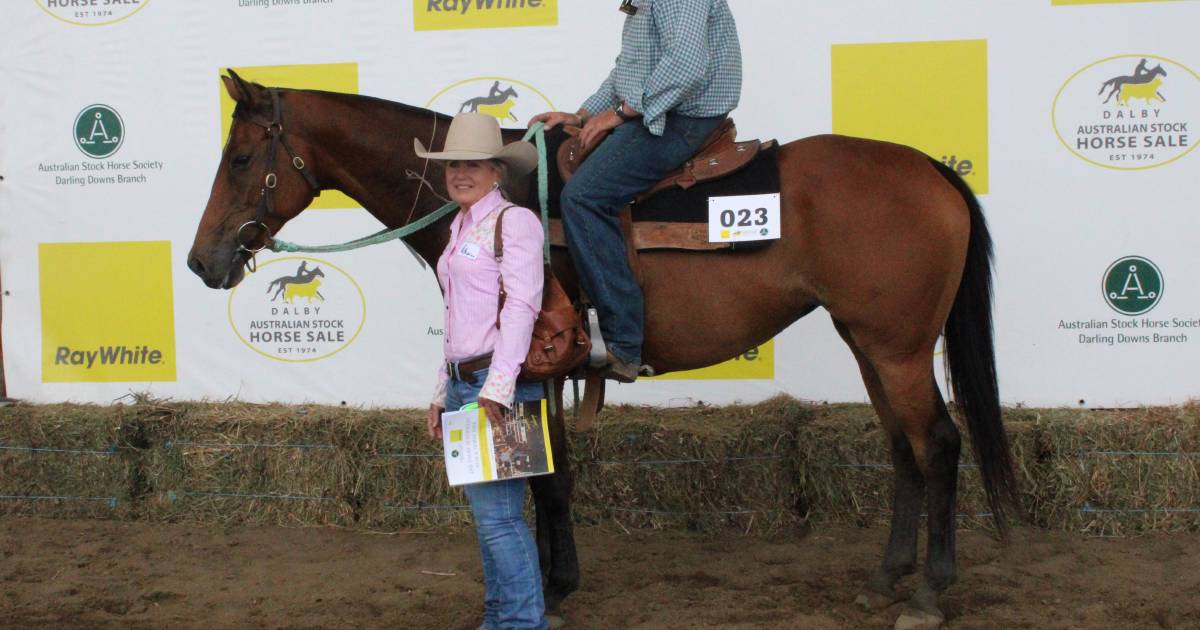 Dalby ASH mare tops Saturday session at $90,000