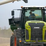 Tropical legume trials a success in southern Queensland