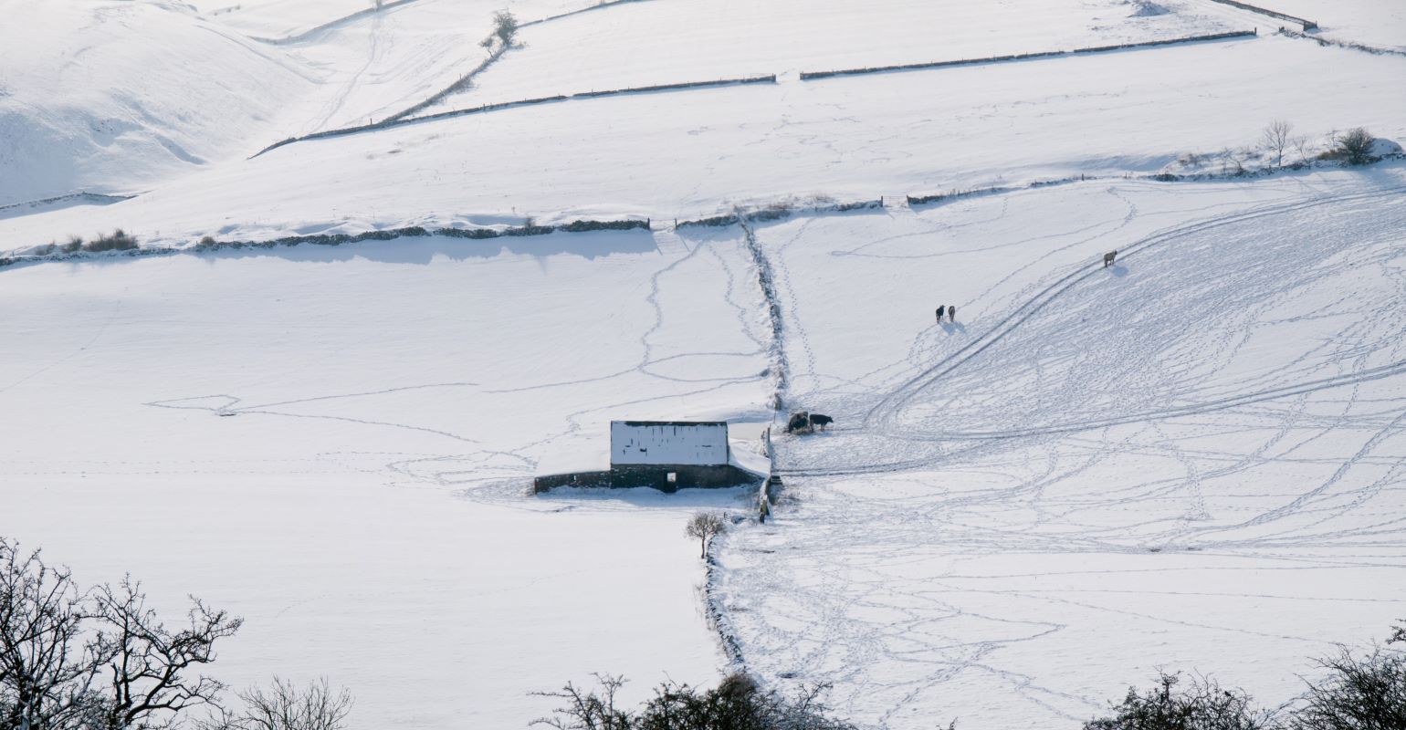 Windbreaks for protection and snow diversion