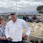 Market still solid for final day of annual Wodonga weaner sales | January 6