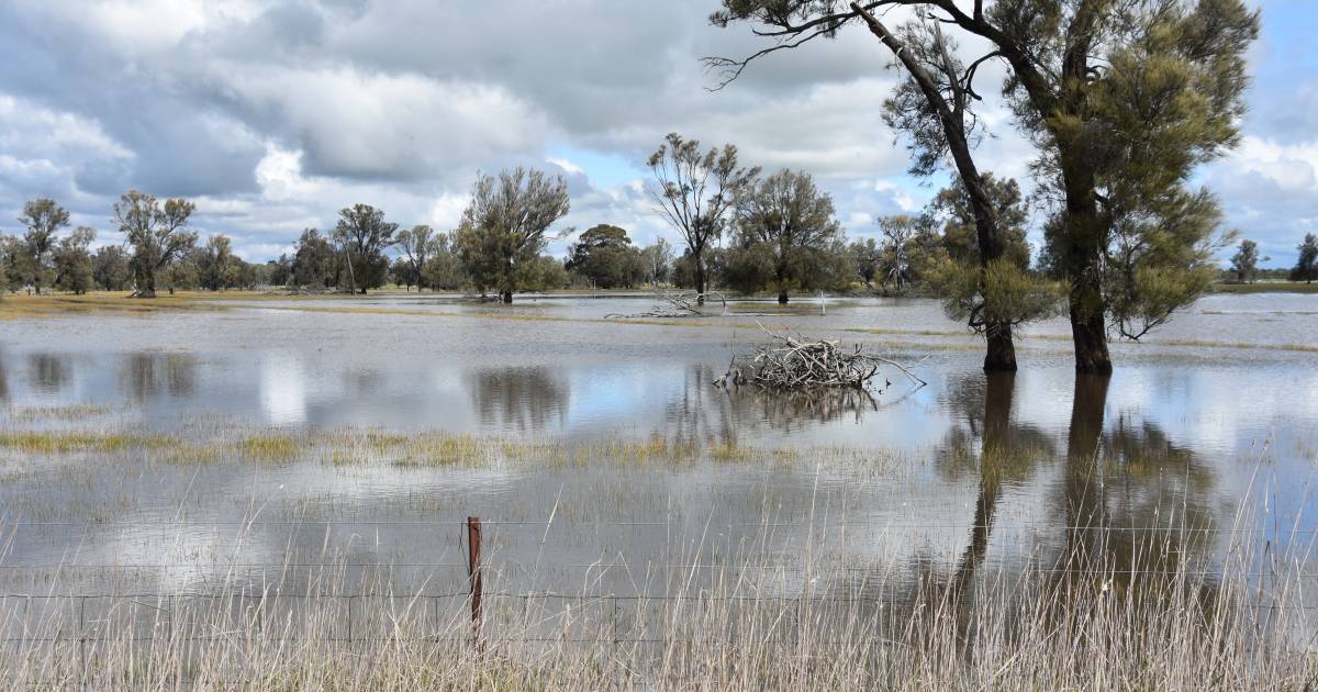 La Nina finally waning