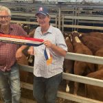 Risk of fire and further cattle casualties along the Fitzroy as floodwaters recede