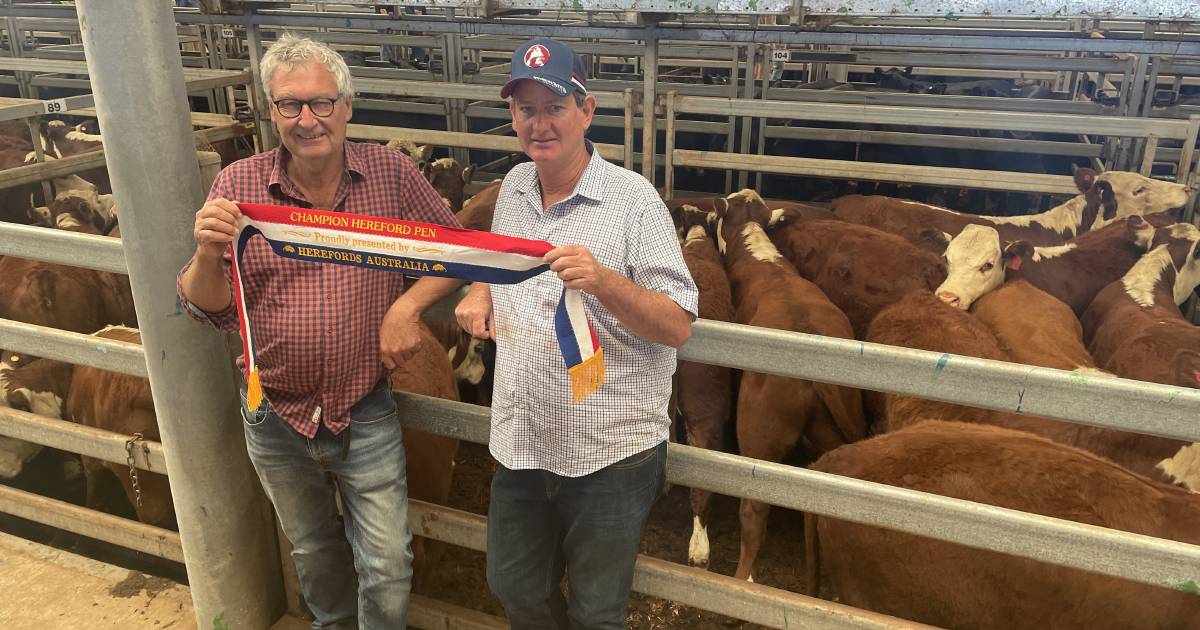 Greatest premium price for weaned calves at Wodonga a sign of market trends to come | The Land