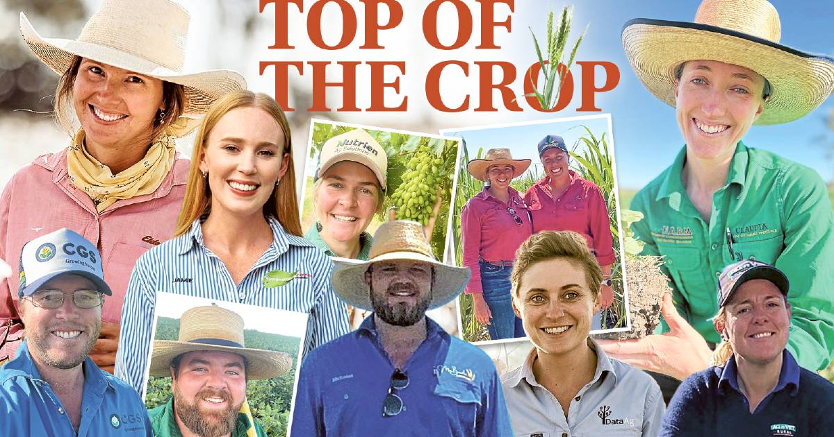 Queensland cropping and horticulture agronomists delivering for their clients | Queensland Country Life