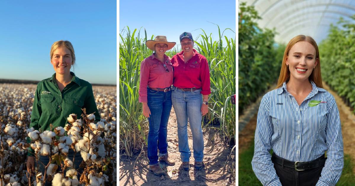 Meet some of North Qld's leading young agronomists