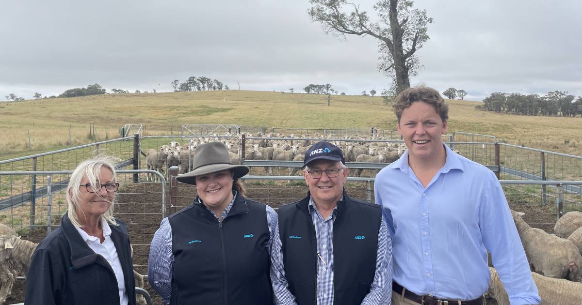 Day 2 at ANZ Crookwell flock ewe competition| Photos